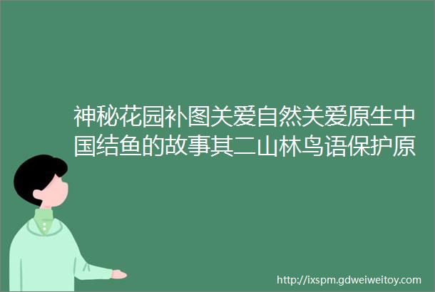 神秘花园补图关爱自然关爱原生中国结鱼的故事其二山林鸟语保护原生的同学们春节快乐转贴臭氧与紫外灯