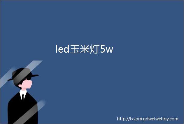 led玉米灯5w